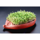 Kresse-Igel - 24 x 14 cm - Zubehör - Römertopf