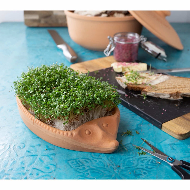 Kresse-Igel - 24 x 14 cm - Zubehör - Römertopf