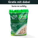 Minimax Starter Set | Jubiläums Angebot - Kohlengrill - Big-Green-Egg