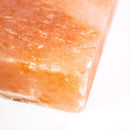 Salzstein - 30 x 20 cm - Zubehör - YAKINIKU