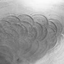 Wokpfanne Large - 40 cm - Zubehör - YAKINIKU